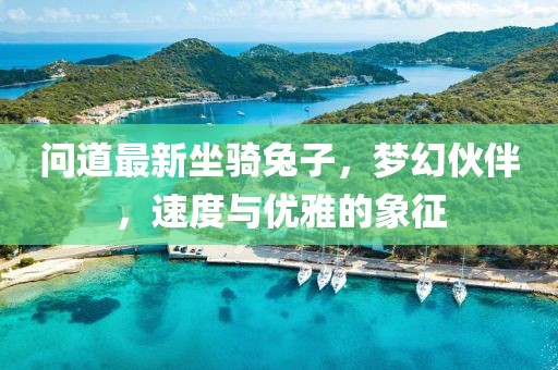 问道最新坐骑兔子，梦幻伙伴，速度与优雅的象征