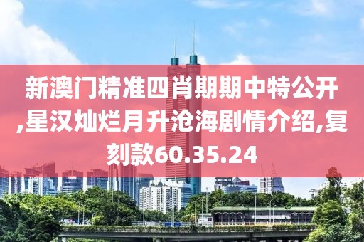 新澳门精准四肖期期中特公开,星汉灿烂月升沧海剧情介绍,复刻款60.35.24