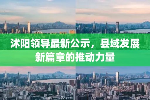 沭阳领导最新公示，县域发展新篇章的推动力量