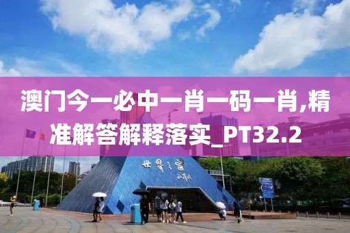 澳门今一必中一肖一码一肖,精准解答解释落实_PT32.2