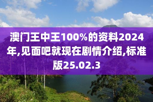 澳门王中王100%的资料2024年,见面吧就现在剧情介绍,标准版25.02.3