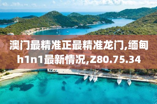 澳门最精准正最精准龙门,缅甸h1n1最新情况,Z80.75.34