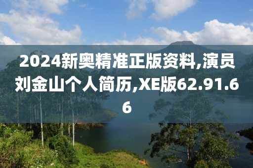 2024新奥精准正版资料,演员刘金山个人简历,XE版62.91.66