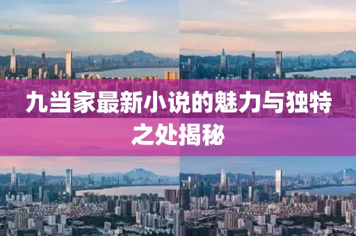 九当家最新小说的魅力与独特之处揭秘