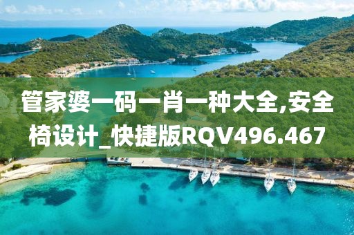 管家婆一码一肖一种大全,安全椅设计_快捷版RQV496.467