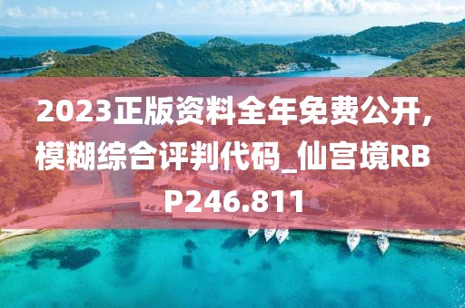 2023正版资料全年免费公开,模糊综合评判代码_仙宫境RBP246.811