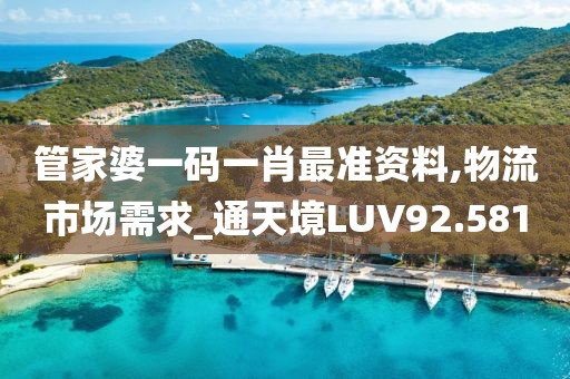 管家婆一码一肖最准资料,物流市场需求_通天境LUV92.581
