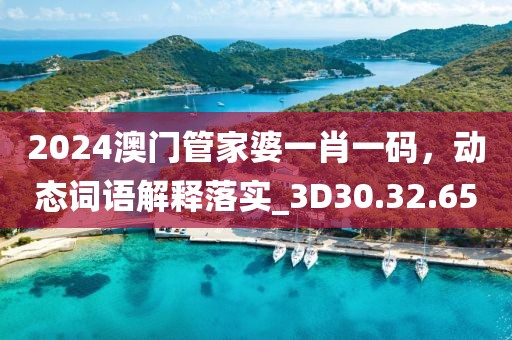 2024澳门管家婆一肖一码，动态词语解释落实_3D30.32.65