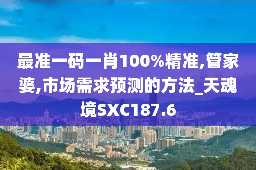 最准一码一肖100%精准,管家婆,市场需求预测的方法_天魂境SXC187.6
