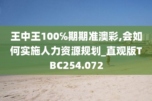 王中王100℅期期准澳彩,会如何实施人力资源规划_直观版TBC254.072