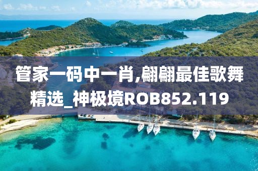管家一码中一肖,翩翩最佳歌舞精选_神极境ROB852.119