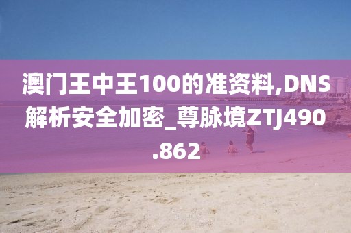 澳门王中王100的准资料,DNS解析安全加密_尊脉境ZTJ490.862