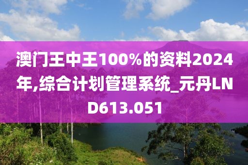 澳门王中王100%的资料2024年,综合计划管理系统_元丹LND613.051