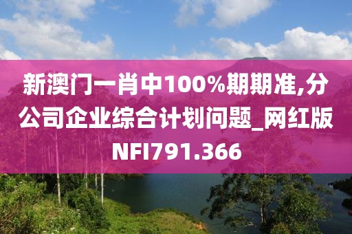 新澳门一肖中100%期期准,分公司企业综合计划问题_网红版NFI791.366
