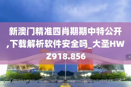 新澳门精准四肖期期中特公开,下载解析软件安全吗_大圣HWZ918.856