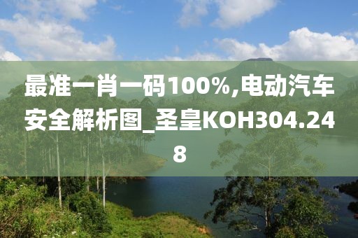 最准一肖一码100%,电动汽车安全解析图_圣皇KOH304.248