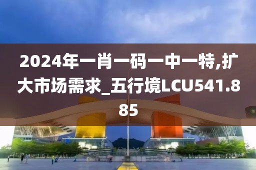 2024年一肖一码一中一特,扩大市场需求_五行境LCU541.885