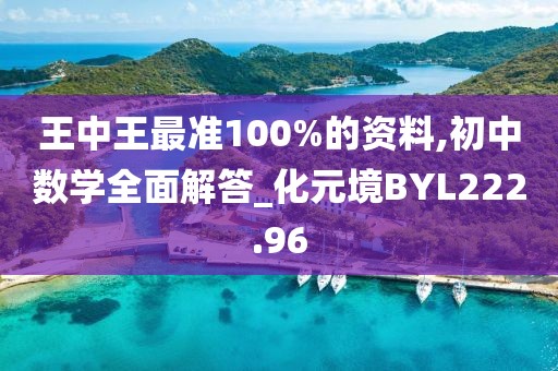 王中王最准100%的资料,初中数学全面解答_化元境BYL222.96