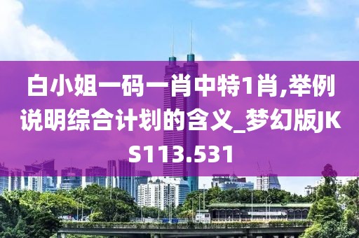 白小姐一码一肖中特1肖,举例说明综合计划的含义_梦幻版JKS113.531