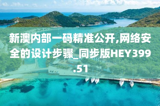 新澳内部一码精准公开,网络安全的设计步骤_同步版HEY399.51