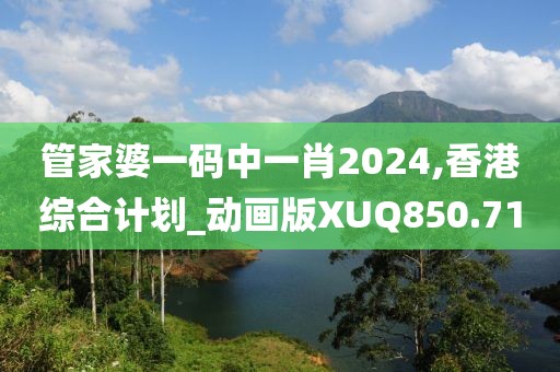 管家婆一码中一肖2024,香港综合计划_动画版XUQ850.71