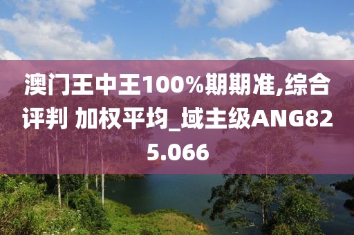 澳门王中王100%期期准,综合评判 加权平均_域主级ANG825.066