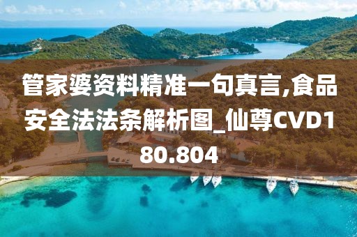 管家婆资料精准一句真言,食品安全法法条解析图_仙尊CVD180.804