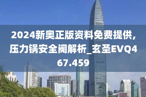 2024新奥正版资料免费提供,压力锅安全阀解析_玄圣EVQ467.459