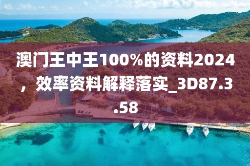 澳门王中王100%的资料2024，效率资料解释落实_3D87.3.58