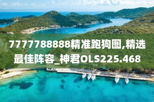 7777788888精准跑狗图,精选最佳阵容_神君OLS225.468