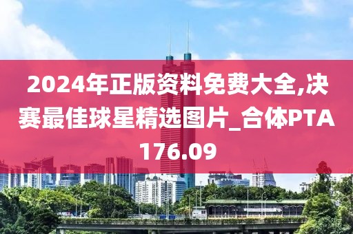 2024年正版资料免费大全,决赛最佳球星精选图片_合体PTA176.09