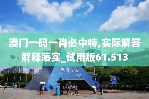 澳门一码一肖必中特,实际解答解释落实_试用版61.513