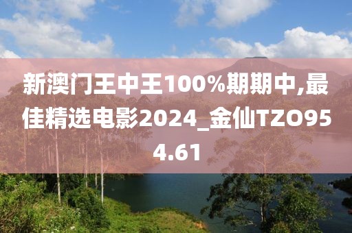 新澳门王中王100%期期中,最佳精选电影2024_金仙TZO954.61