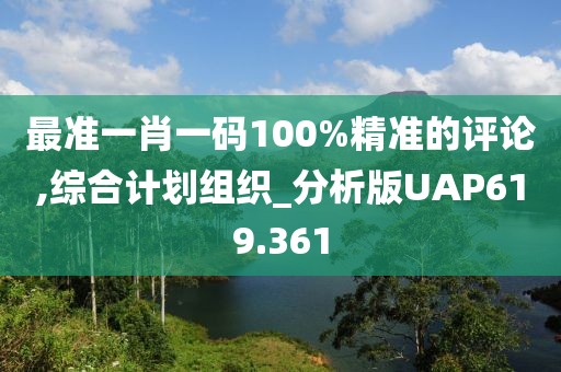 最准一肖一码100%精准的评论,综合计划组织_分析版UAP619.361