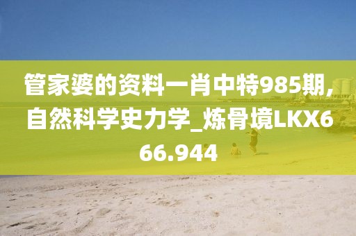 管家婆的资料一肖中特985期,自然科学史力学_炼骨境LKX666.944