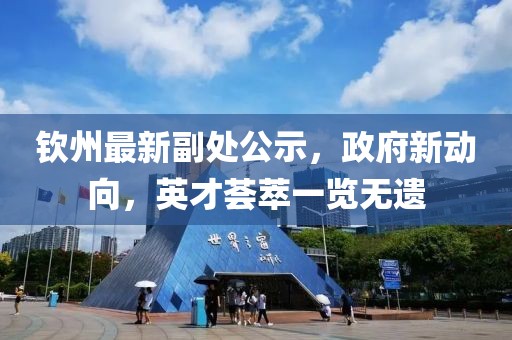 钦州最新副处公示，政府新动向，英才荟萃一览无遗