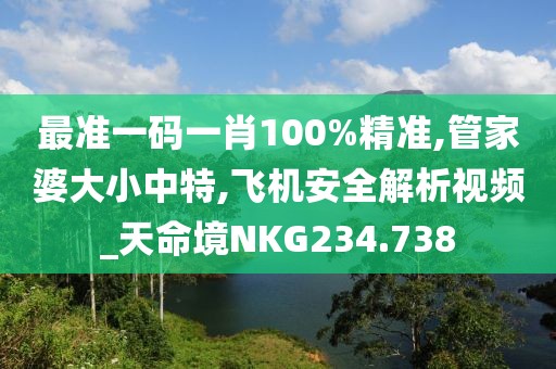最准一码一肖100%精准,管家婆大小中特,飞机安全解析视频_天命境NKG234.738