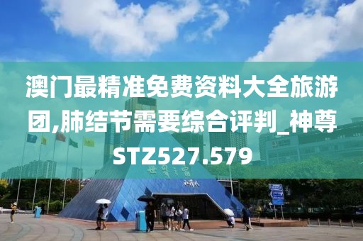 澳门最精准免费资料大全旅游团,肺结节需要综合评判_神尊STZ527.579