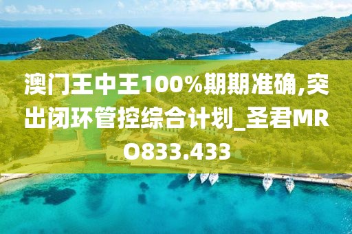 澳门王中王100%期期准确,突出闭环管控综合计划_圣君MRO833.433
