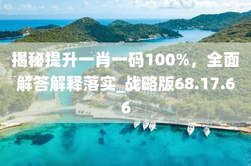 揭秘提升一肖一码100%，全面解答解释落实_战略版68.17.66