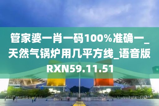 管家婆一肖一码100%准确一_天然气锅炉用几平方线_语音版RXN59.11.51