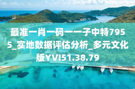 最准一肖一码一一子中特7955_实地数据评估分析_多元文化版YVI51.38.79