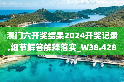澳门六开奖结果2024开奖记录,细节解答解释落实_W38.428