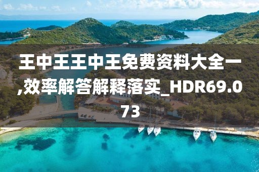 王中王王中王免费资料大全一,效率解答解释落实_HDR69.073