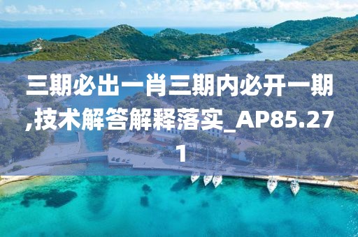 三期必出一肖三期内必开一期,技术解答解释落实_AP85.271
