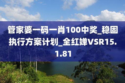 管家婆一码一肖100中奖_稳固执行方案计划_全红婵VSR15.1.81