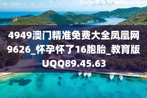 2024年11月 第1285页