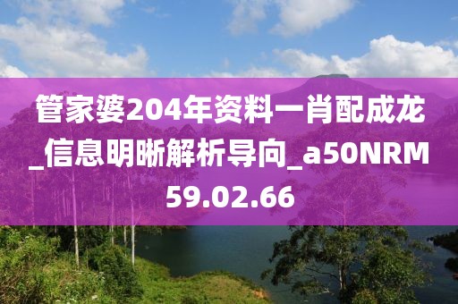 管家婆204年资料一肖配成龙_信息明晰解析导向_a50NRM59.02.66