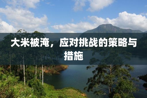 大米被淹，应对挑战的策略与措施