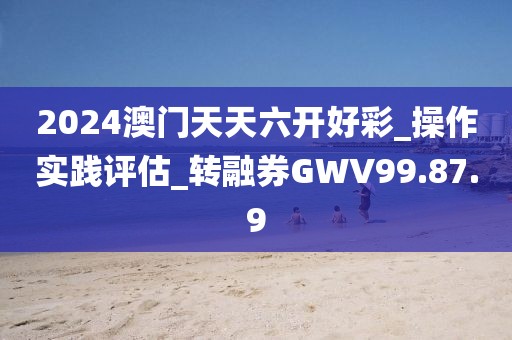 2024澳门天天六开好彩_操作实践评估_转融券GWV99.87.9